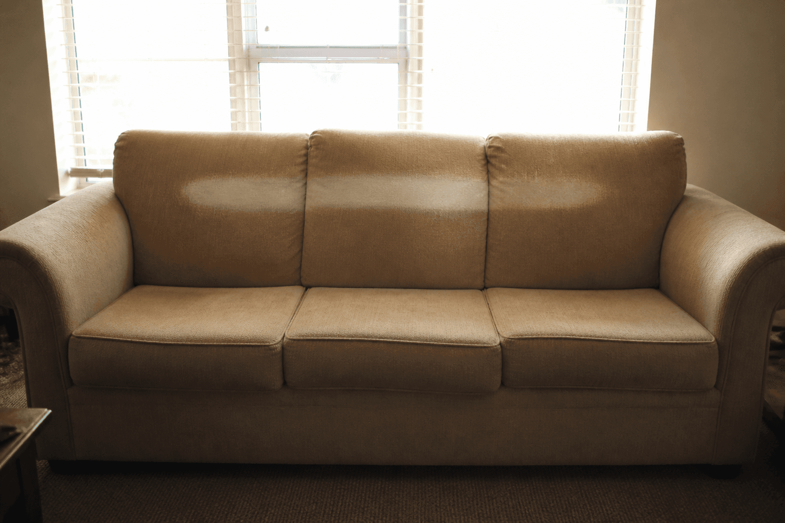 Beige sofa with a sun-faded stripe, back shoved against a bright window