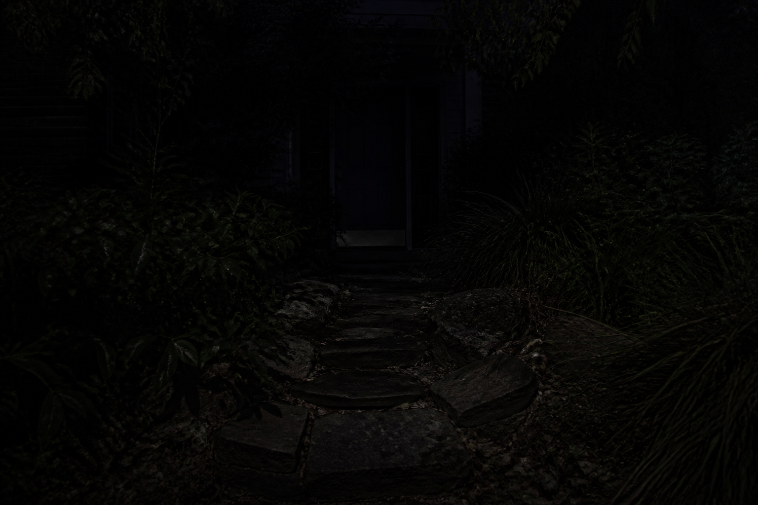 Unlit garden path at night with a faint door at the far end