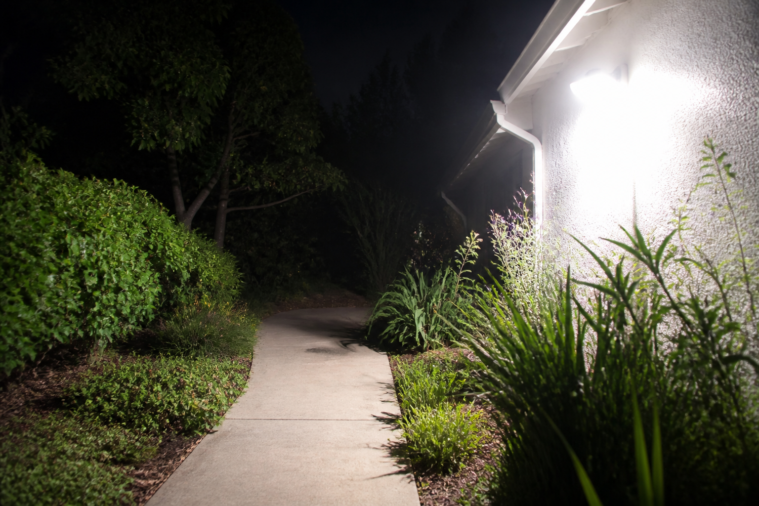 Garden path washed by a harsh white flood on the house wall